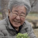 성호횟집식당 이미지