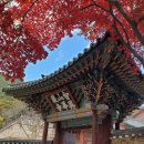 NR-18[화엄사로]-상-301 | 구례 화엄사