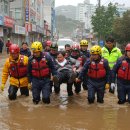 성인자동차공업사 - 은평구 증산로15길 34-1 | 성인자동차공업사