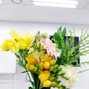 꽃꽂이 | 청주 인더그린 - 꽃꽂이 클래스 듣고온 후기.