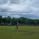 율하체육공원 생태연못 이미지