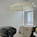 세종미용실 | 세종 미용실 추천, 나성동 트리드헤어 빌드펌 후기