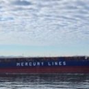 티씨 코리아 이미지