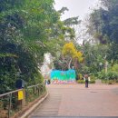 구룡공원입구 이미지