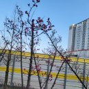 참(charm)행정사 사무소 이미지