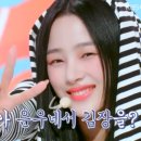 정우플랫폼 이미지