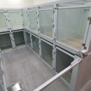 수원-0337 이미지