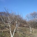 다락골농장 이미지