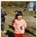 관기초교병설유치원 이미지