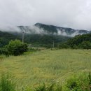 산골농부네 이미지