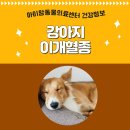 아이맘동물의료센터 이미지