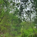 고잔근린공원 이미지