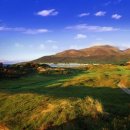 로얄스크린골프장 이미지