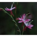 별총총바다풍경 이미지