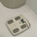 아로와앤아로와나 이미지