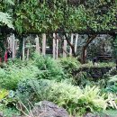 부국개발주식회사 여미지식물원 이미지