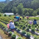 스테이홍천 이미지