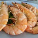 운영수산회센터 이미지