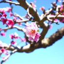 반곡저수지 이미지