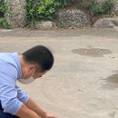 박문주유소 이미지