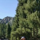 상석목장 이미지