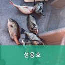 성용호 - 2302 | 성용호