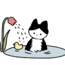 카페라떼떼원주