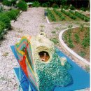 양학초등학교 이미지