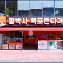 황박사목포쫀디기목포종합버스 이미지