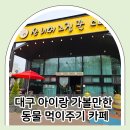 산너머그집 | 대구 아이랑 가볼 만한 동물 먹이주기 체험 산너머그집꿀카페 방문 후기