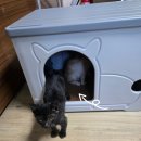 시원한집 이미지