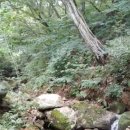 삼뱅이길 이미지