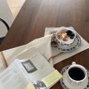 세상을 보는 신기한 과학실험 | 디어올리버 /수잔배리 올리버 색스 세상을 다르게 보는 법
