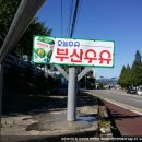 정관우유대리점