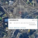 용현동물텀벙이거리 이미지