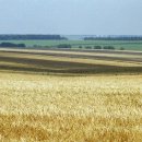 미국 농부: 러시아가 세계 제1의 농업 강국이 될 것 이미지