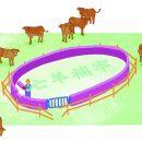 소 외양간 이미지