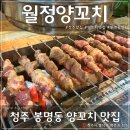 월정양꼬치 이미지