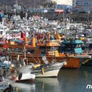 당근수산