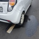 이시아오토리페어 이미지