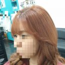 머리붙이바