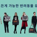 행운캔넬 이미지