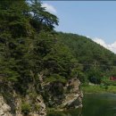 분천1리 이미지