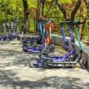 주정차052 이미지