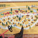 삼강나루캠핑장