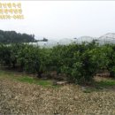 남원읍-9 이미지