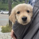 중앙동물약품 이미지