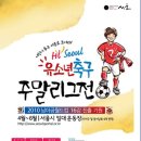 2010 하이서울 유소년 축구 리그전 - 강서구 예선 5월29일 토요일 1~2학년 예선 / 5월30일 일요일 3~4학년 예선 이미지