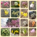 매화정원어린이집 이미지