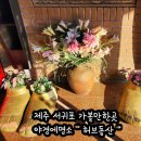 순안농장 | 제주여행 서귀포 가볼만한곳 야경에명소 제주허브동산 황금허브족 체험후기